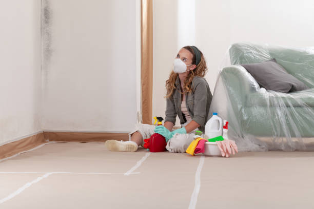 Reliable Mold Testing contractor in White Marsh, MD by WQB Mold Removal
