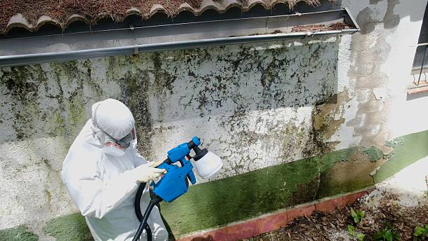 Top rated local Mold Testing specialists in White Marsh, MD